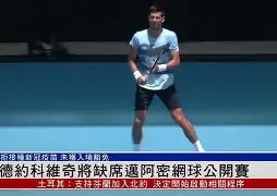 德约科维奇奥运夺冠